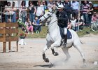 Pferd International 159